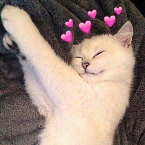 อยากเปลี่ยนชื่อ