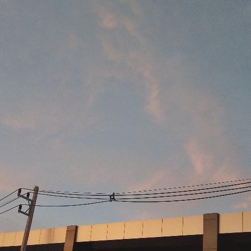 สมาชิกหมายเลข 3640941