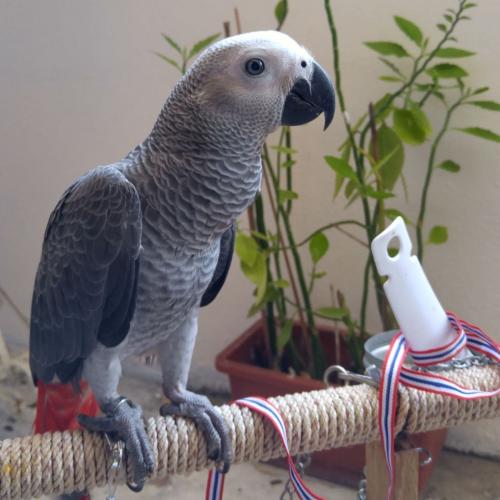 สมาชิกหมายเลข 3263644