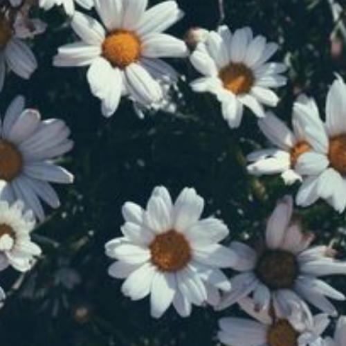 สมาชิกหมายเลข 3791538