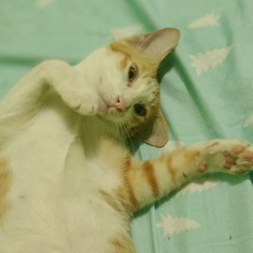 สมาชิกหมายเลข 2714879