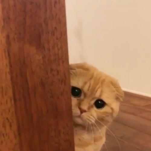 สมาชิกหมายเลข 7157304