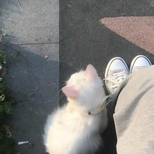 สมาชิกหมายเลข 7951667