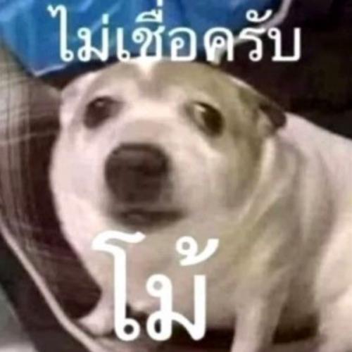 สมาชิกหมายเลข 6064757