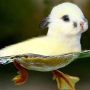 สมาชิกหมายเลข 3759866