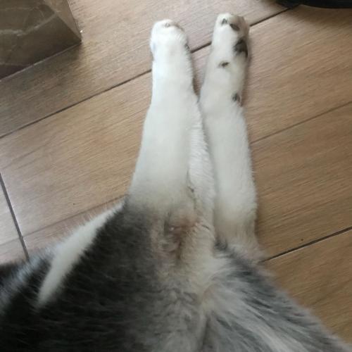 สมาชิกหมายเลข 3655541