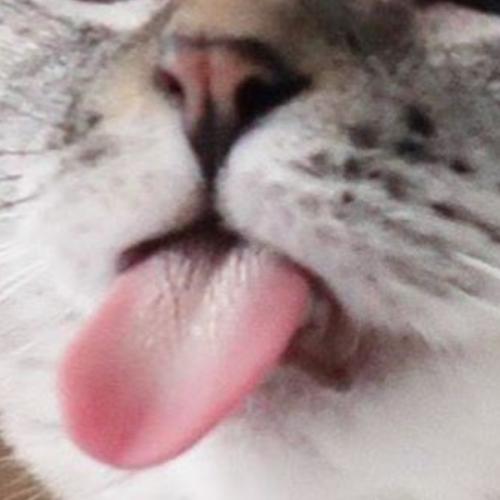 สมาชิกหมายเลข 5854862