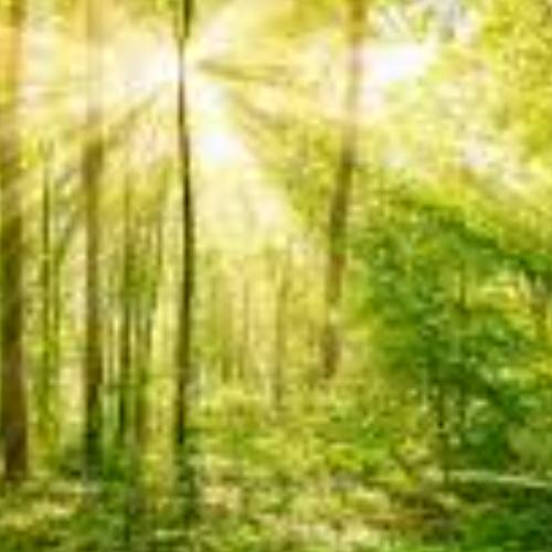 สมาชิกหมายเลข 3523770