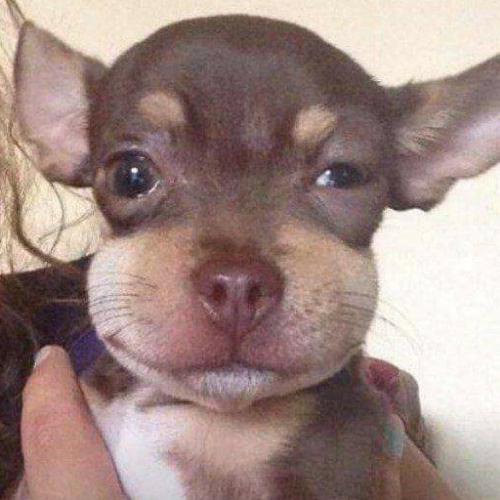 สมาชิกหมายเลข 6456251