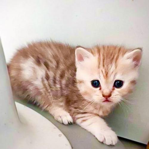 สมาชิกหมายเลข 6456583