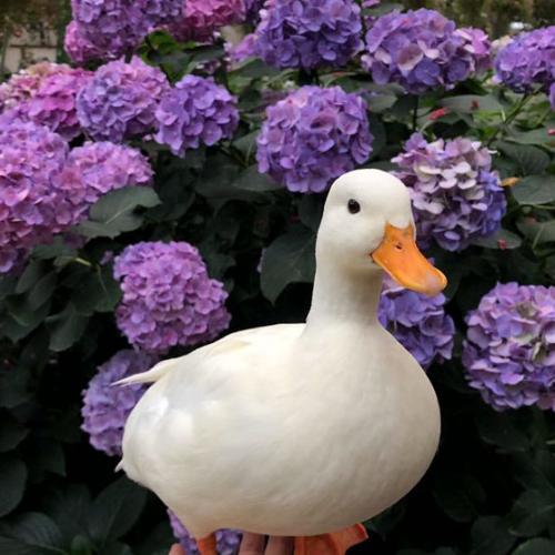 สมาชิกหมายเลข 7157523