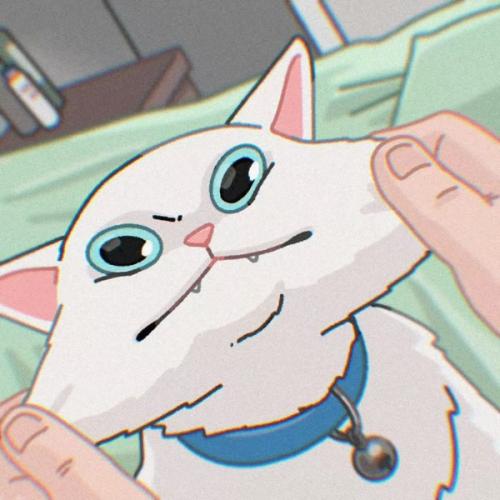 สมาชิกหมายเลข 3088908