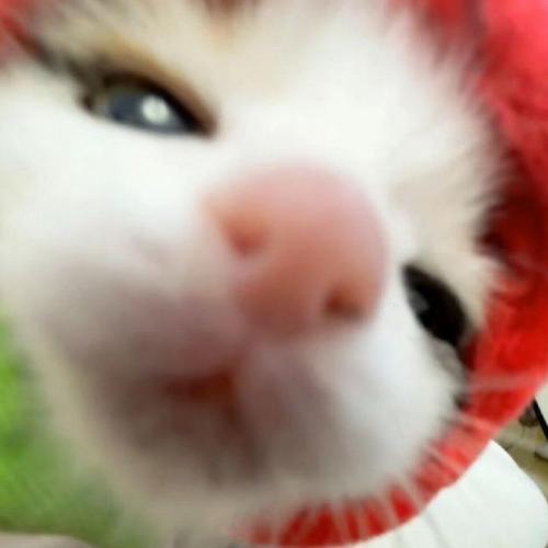 สมาชิกหมายเลข 8793285