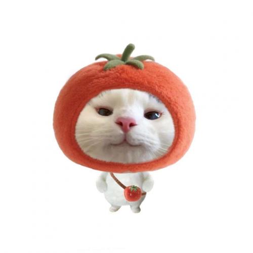 สมาชิกหมายเลข 8910228