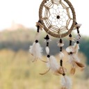 สมาชิกหมายเลข 1979210