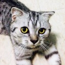 สมาชิกหมายเลข 4040224