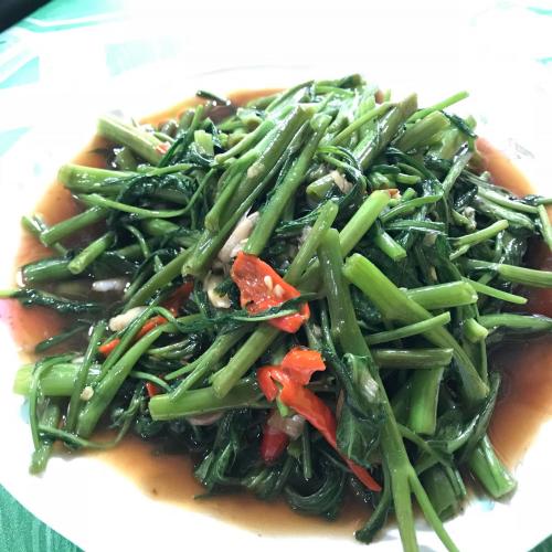 สมาชิกหมายเลข 2448303