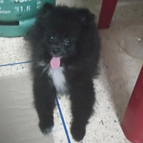 สมาชิกหมายเลข 5366658