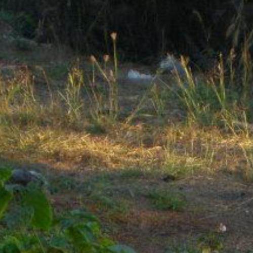 สมาชิกหมายเลข 7158586