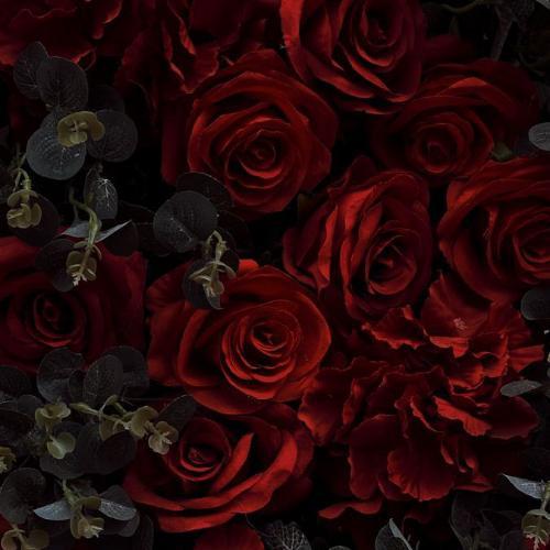 สมาชิกหมายเลข 7114412