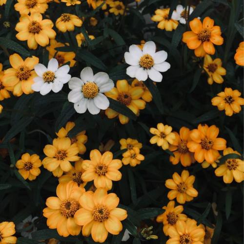 สมาชิกหมายเลข 7624206