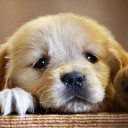 สมาชิกหมายเลข 3296931