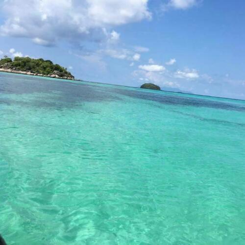 สมาชิกหมายเลข 4605328