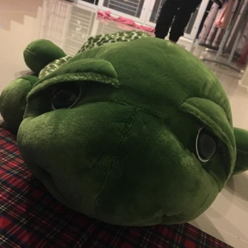 สมาชิกหมายเลข 1909484