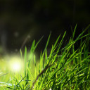 สมาชิกหมายเลข 1688714