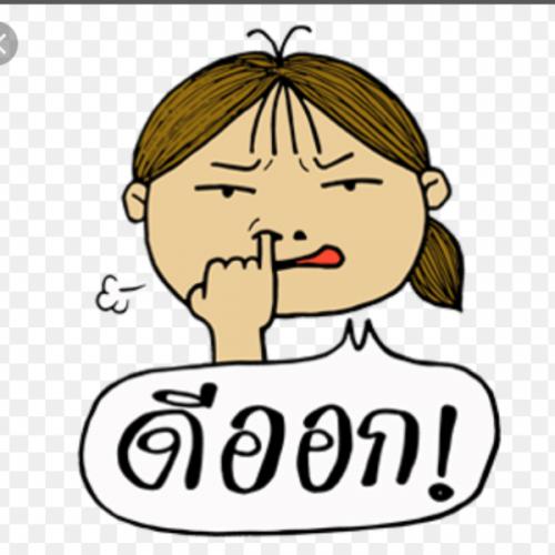 สมาชิกหมายเลข 3960420