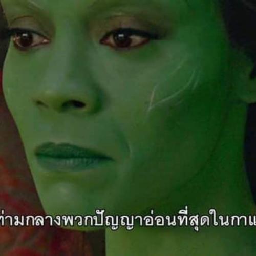 สมาชิกหมายเลข 5263620