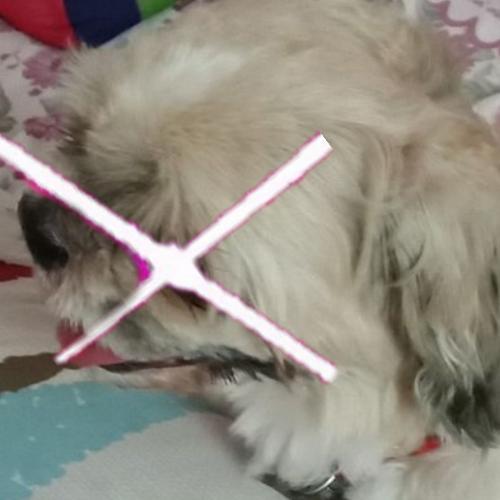 สมาชิกหมายเลข 5366995