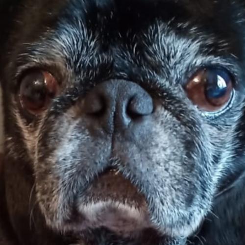 สมาชิกหมายเลข 3879873