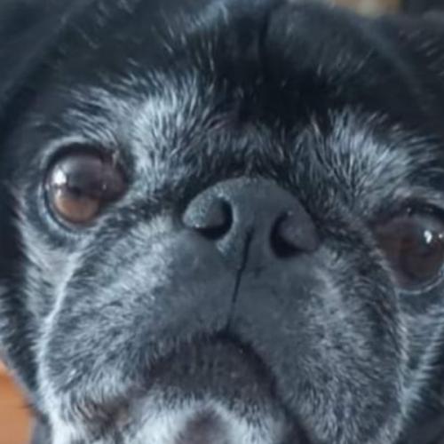 สมาชิกหมายเลข 5746691