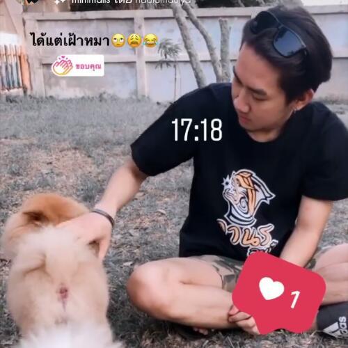 สมาชิกหมายเลข 5855107