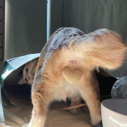 สมาชิกหมายเลข 5051229