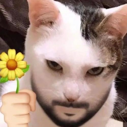 สมาชิกหมายเลข 7159211