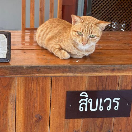 สมาชิกหมายเลข 1990996