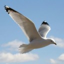 สมาชิกหมายเลข 4225133