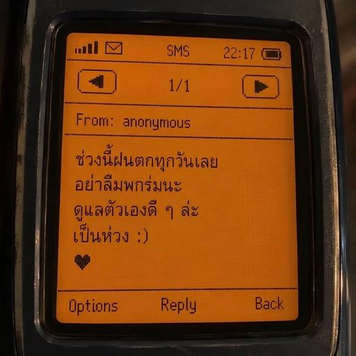 แมวเหมียวพุงกาง