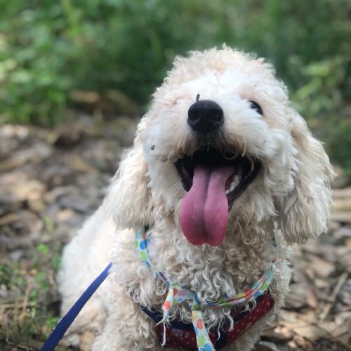 สมาชิกหมายเลข 2406994