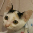 สมาชิกหมายเลข 3664036