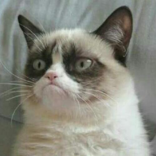 สมาชิกหมายเลข 5367388