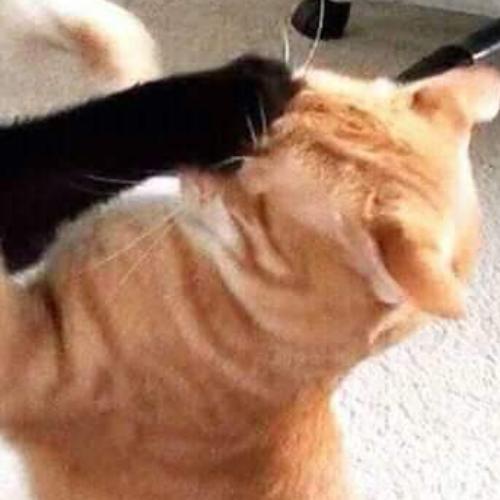 สมาชิกหมายเลข 5367716