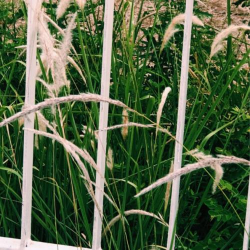 สมาชิกหมายเลข 5796895