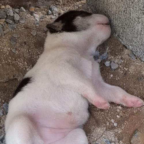 สมาชิกหมายเลข 3263848