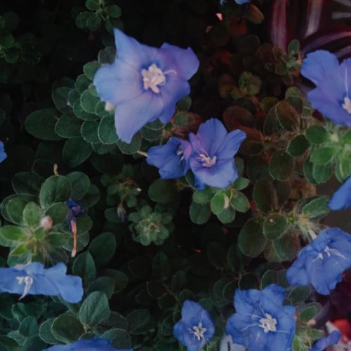 สมาชิกหมายเลข 8978292