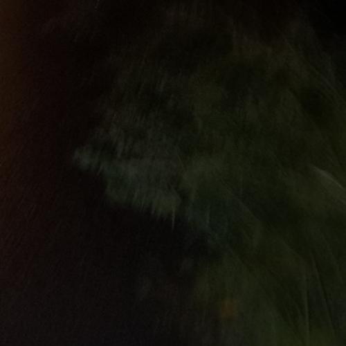 สมาชิกหมายเลข 8978423