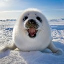 สมาชิกหมายเลข 3755450