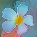 สมาชิกหมายเลข 3759010